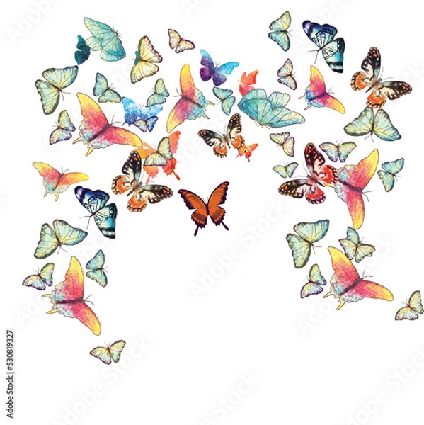 Fototapeta mixed butterfly print on plain ground 