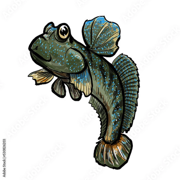 Fototapeta mudskipper