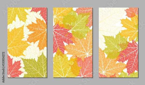 Fototapeta Floral vector templates with autumn leaves. Plant print for holiday stories, greeting cards, banners. Natural trendy web-design. Set of textured backgrounds. Botanical art.