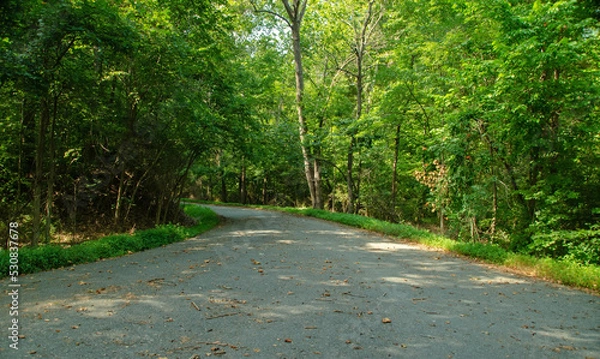 Obraz Country Road with trees