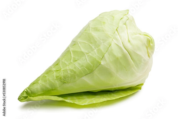 Obraz Spitzkohl freigestellt