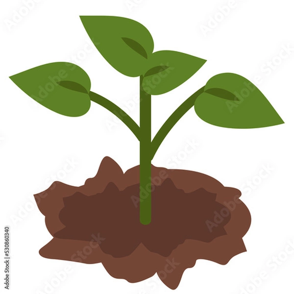 Fototapeta New shoots growing on the ground background image