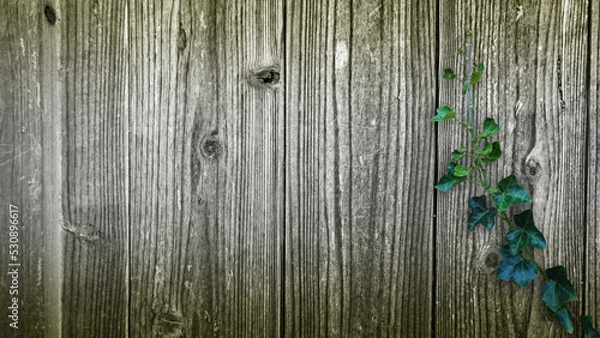 Obraz 木目背景とグリーン