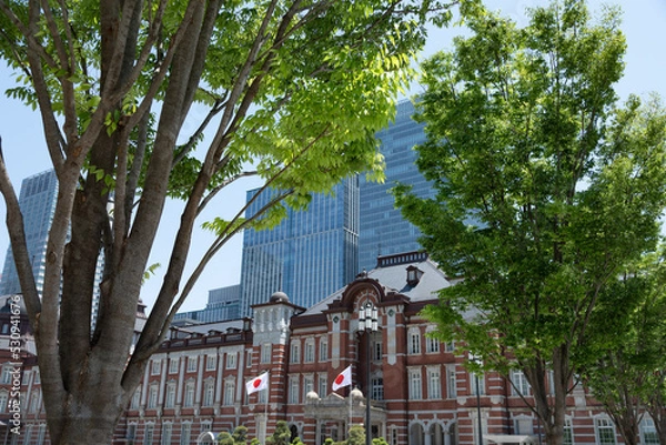 Obraz 東京駅と樹木