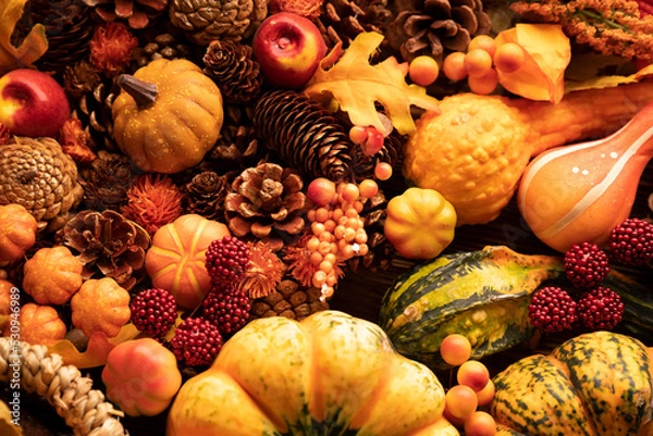 Fototapeta Autumn composition on a rustic wooden background. Decorative pumpkins, various leaves, pine cones, nuts. Orange, yellow, red  and brown aesthetics. 