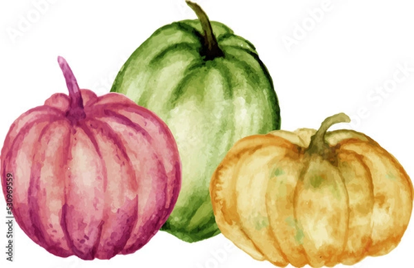 Fototapeta pumpkins isolated on white