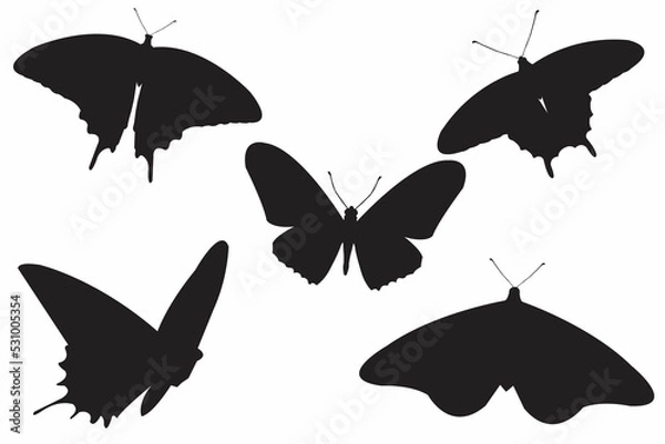Fototapeta butterflies vector design 