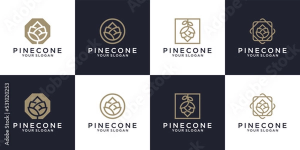 Fototapeta collection of pine cones arranged. Simple set of pine cone vector icons