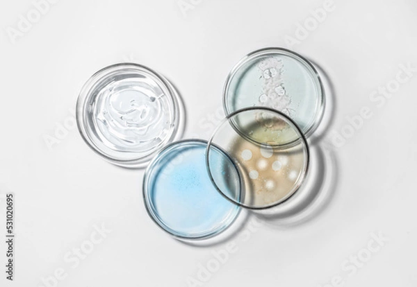 Fototapeta Petri dishes with color liquids on white background, flat lay