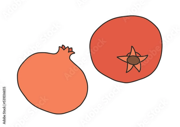 Obraz Pomegranate - vector illustration in cartoon style. Objects isolated on white background. Vector isolated icon.