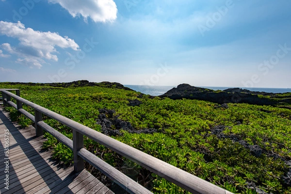 Obraz 通り池の遊歩道