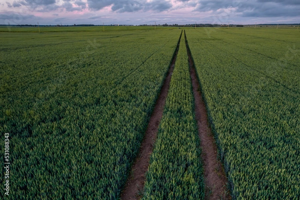 Fototapeta road in the field
