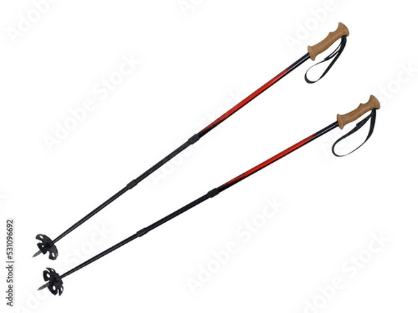 Fototapeta Ski and hiking poles with large snow cups isolated. 