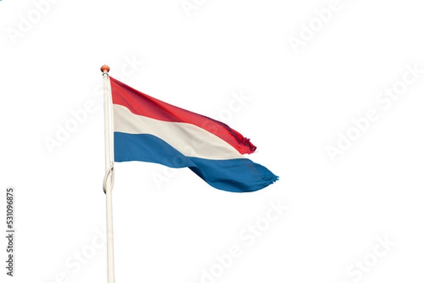 Obraz Dutch flag blowing in the wind with transparent background