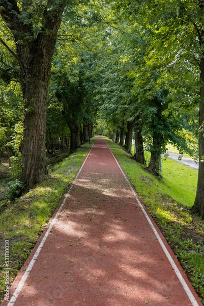 Obraz Rubber running track lane in public park at urban city. Nature trees and environment green space for recreation