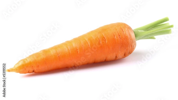 Obraz Jedna młoda marchewka