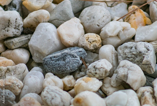 Obraz Rock Covered Pathway