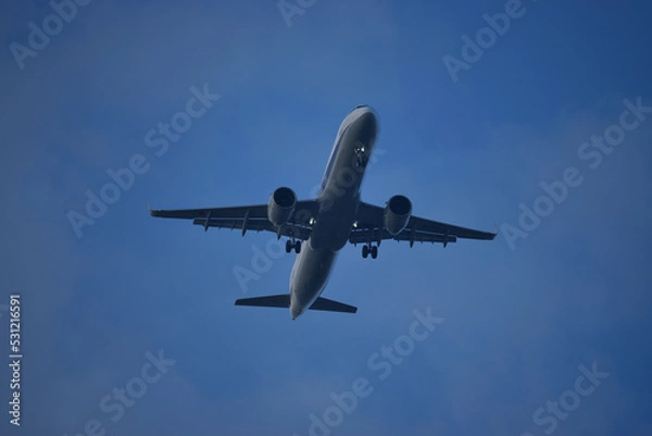 Fototapeta 飛行機