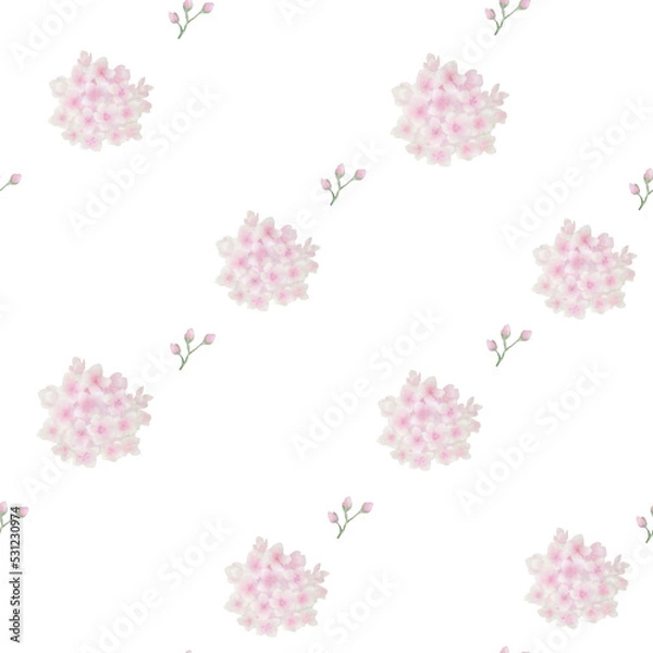 Fototapeta flowers vector, flowers ornament, floral ornament, hydrangea, hydrangea pattern, hydrangea vector