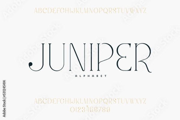 Fototapeta Abstract Fashion font alphabet. Minimal modern urban fonts for logo, brand etc. Typography typeface uppercase lowercase and number. vector illustration