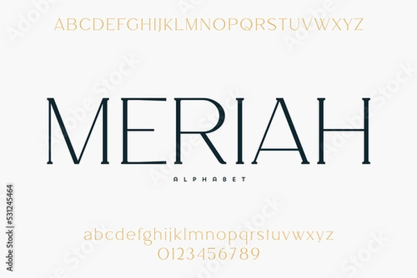 Fototapeta Abstract Fashion font alphabet. Minimal modern urban fonts for logo, brand etc. Typography typeface uppercase lowercase and number. vector illustration
