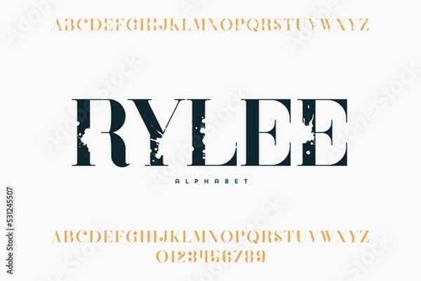 Fototapeta Abstract Fashion font alphabet. Minimal modern urban fonts for logo, brand etc. Typography typeface uppercase lowercase and number. vector illustration