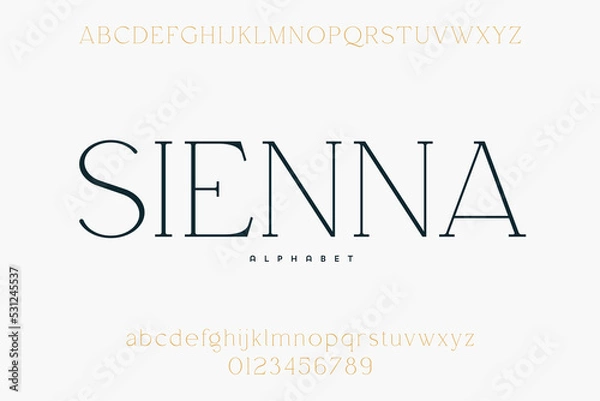 Fototapeta Abstract Fashion font alphabet. Minimal modern urban fonts for logo, brand etc. Typography typeface uppercase lowercase and number. vector illustration