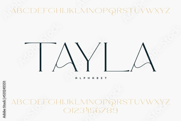Fototapeta Abstract Fashion font alphabet. Minimal modern urban fonts for logo, brand etc. Typography typeface uppercase lowercase and number. vector illustration