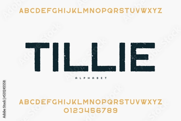 Fototapeta Abstract Fashion font alphabet. Minimal modern urban fonts for logo, brand etc. Typography typeface uppercase lowercase and number. vector illustration