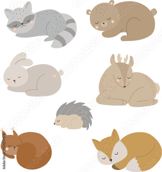 Obraz Sleeping baby animals clipart vector, vector illustration for design, print, pattern, isolated on white background