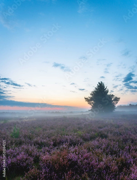 Obraz Mehlinger Heide