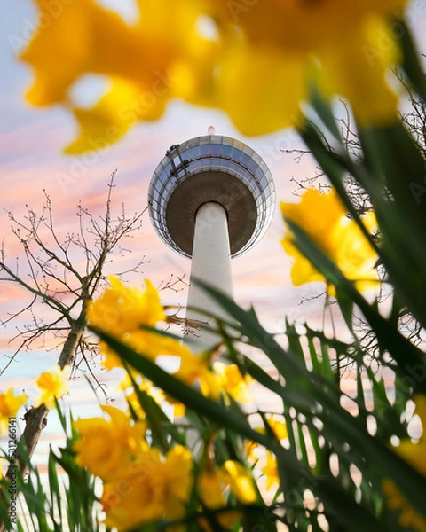 Obraz Fernmeldeturm Mannheim
