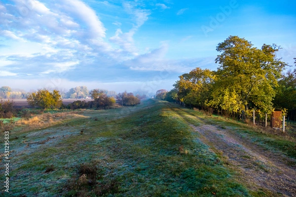 Obraz autumn landscape with trees