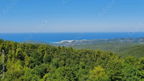 Obraz Foresta Umbra Gargano