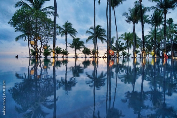 Fototapeta Many coconut trees and reflections on the water surface of the swimming pool in the evening.