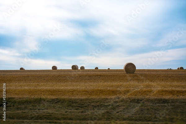 Fototapeta Hay bales in the field on the prairies