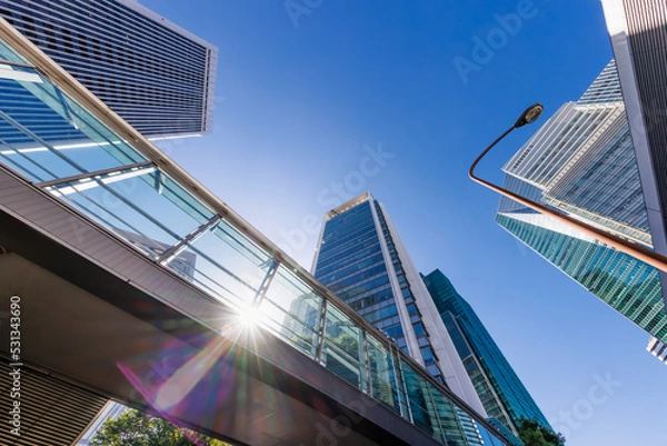 Fototapeta 朝の光が綺麗な東京の街並み