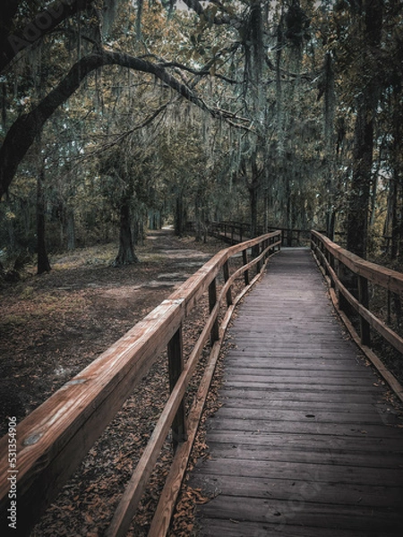 Fototapeta wooden bridge in the woods