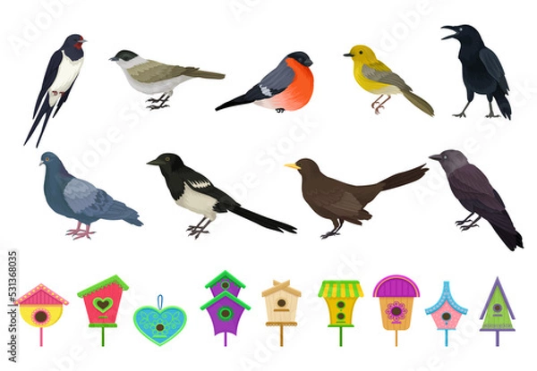 Obraz Different Feathered Birds and Nesting Box or Birdhouse Big Vector Set