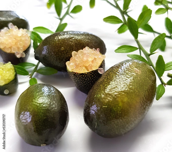 Fototapeta Edible fruits of Citrus australasica, the Australian finger lime or caviar lime. Whole limes on thorny branch and cut with vesicles partially extracted. Objects on white