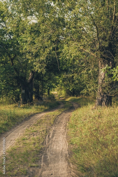 Obraz road in autumn forest