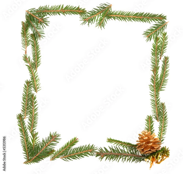 Fototapeta Evergreen Frame