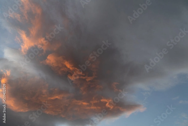 Fototapeta fire in the fire