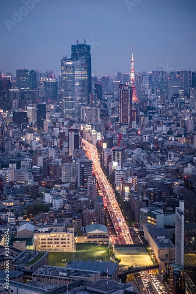Fototapeta Night view from the the sky of the city skyline of Tokyo in Japan