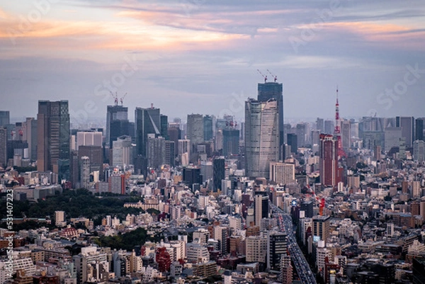 Fototapeta Panoramic sky view of the Tokyo skyline during a warm sunset