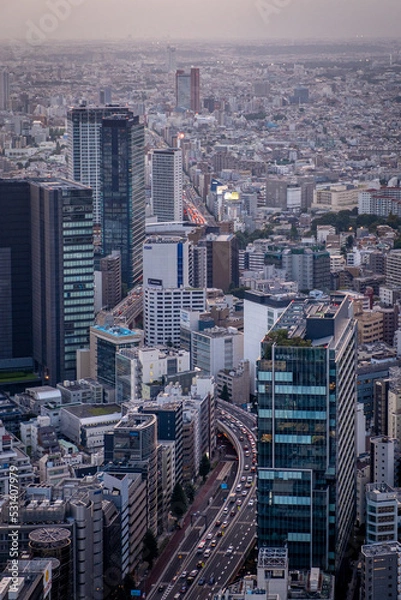 Fototapeta aerial view of the urban architecture of Tokyo from the sky