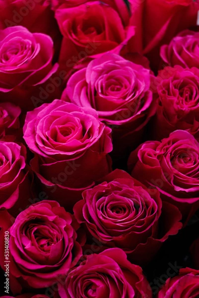 Obraz bouquet of roses