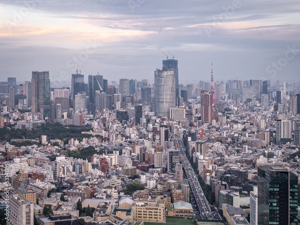 Fototapeta Panoramic sky view of the Tokyo skyline during a warm sunset