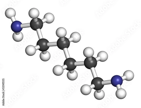 Fototapeta Hexamethylenediamine, nylon (polyamide) building block.