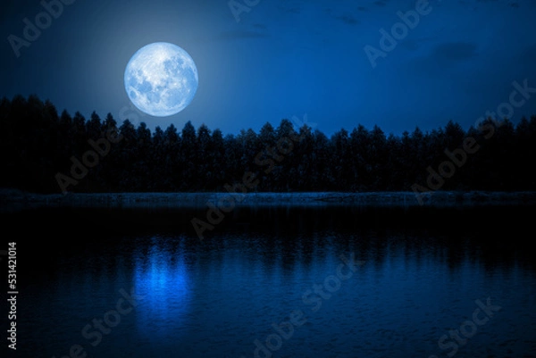 Obraz The blue sky at the full moon over the shadows of the trees by the river. calm nature background NASA's Moon